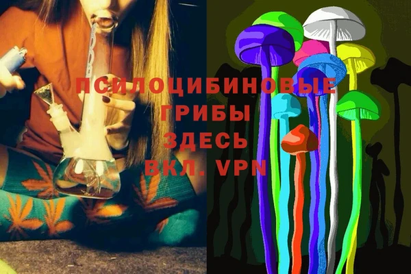 а пвп мука Армянск
